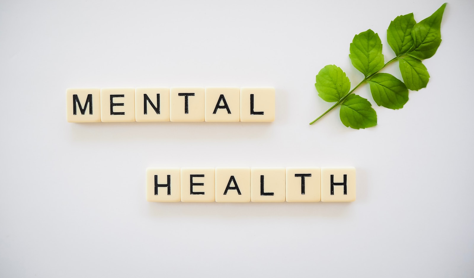 Top 10 Tips to Maintain Your Mental Health